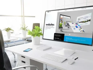 Erzincan Web Tasarım Firmaları