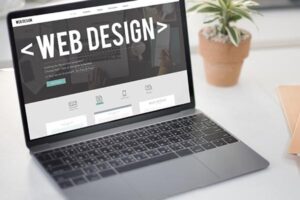Erzincan Ucuz Web Tasarım